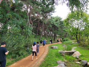 경상북도 천년숲 '대한민국 최우수 도시숲' 선정