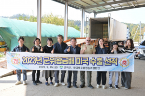美 시장 사로잡은 '군위황금배' 마지막 수출길