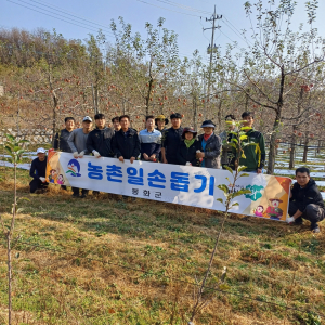 봉화군 물야면, 농촌일손돕기 '구슬땀'