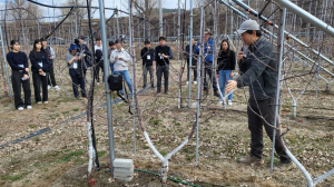 경상북도농업기술원, 경북 사과 생산 구조 대전환 '박차'