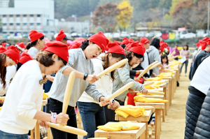 청송군, 5일간 42만명 '청송사과축제' 호평 속 마무리