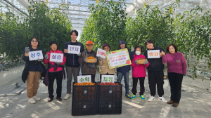 상주시, 스마트팜 토마토 수확 체험 '인기'