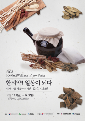 대구광역시, 한의약 체험 '메디웰니스 프리페스타' 개막