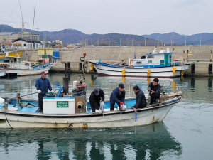경주시, 명품 해삼 방류로 풍요로운 어장 조성