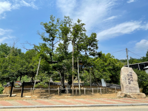 경북 국가산림문화자산 5곳 신규 지정…'전국 최다'