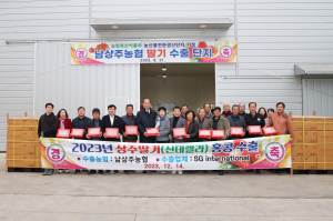 상주시 흰색딸기 '신데렐라' 해외시장 진출