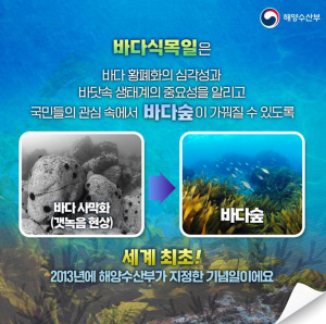 포항시, 경북 최초 바다식목일 기념식 포항서 열려