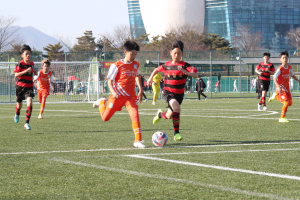 전국 축구 꿈나무 전국 축구 꿈나무 