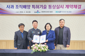 청송군, 화상병 저항성 사과대목 생산 