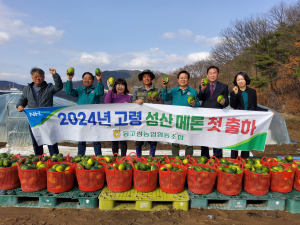 맛·품질 잡은 '성산 멜론' 소비자 입맛에 쏙