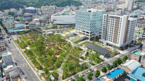 포항시, 도심숲으로 온실가스↓ 수익↑ '일석이조'