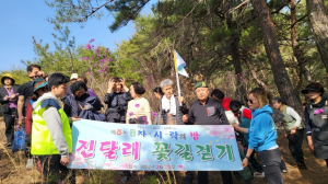 봄의 서막, 연분홍 진달래 꽃길