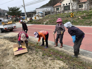 안동시 녹전면, 눈이 즐거운 꽃길 조성