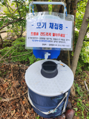 대구시, 모기매개 감염병 예방 위한 선제적 대응'최선'