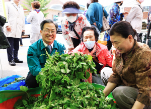 제19회 영양 산나물 축제 미리보기