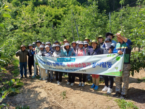 봉화교육지원청, 과수 농가 일손 돕기 '구슬땀'