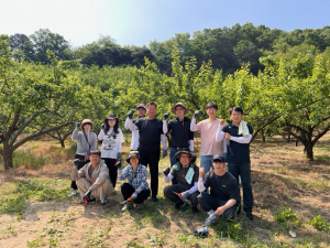 김천시 건설도시과 직원들, 농가 일손 돕기 '팔 걷어'