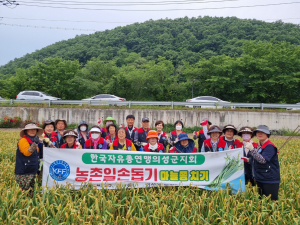 한국자유총연맹 의성군지회, 농가 일손 돕기