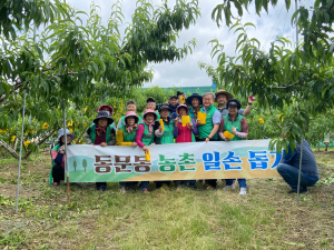 상주시 동문동새마을남녀지도자협의회, 복숭아 농가 돕기 '구슬땀'
