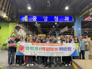 의성군, 의성眞자두 '전국 소비자 입맛' 잡는다!