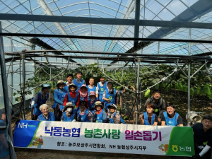 상주시 낙동면 낙동농협 농가주부모임, 농촌 일손돕기 구슬땀