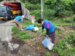 경주시 서면 어르신, 깨끗한 환경 만들기 '앞장'