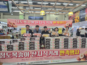 여름 별미 청도군 복숭아, 달콤한 맛으로 대구광역시 소비자 입맛 저격