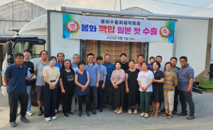 봉화군 춘양면 권오석·장미라 농가, 코로나 극복하고 백합 수출 재시동