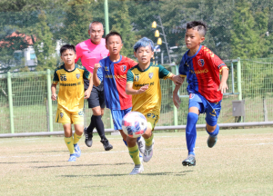 경주시 화랑대기전국유소년축구대회, 지역경제에 효자 노릇 '톡톡히'