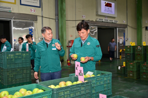 청송농산물공판장, 2024년산 햇사과 경매