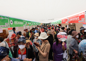 영양군, 얼큰 '영양의 매운 맛' 수도권 취향저격