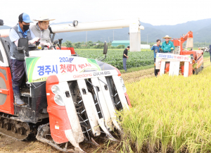 주낙영 경주시장, 농민들과 수확의 기쁨 나누다