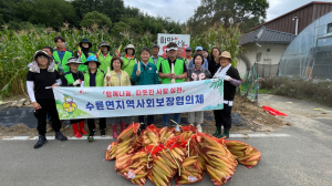 성주군 수륜면 지역사회보장협의체, 옥수수 수확
