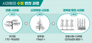 경상북도, 초밀착+다축형 재배로 사과 생산구조 대전환