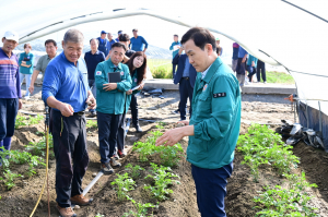 고령군, 개진면 농작물 고온피해 현장 점검