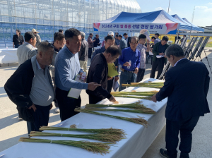 도민 PICK '경상북도 쌀' 맛·생육 두 마리 토끼… 경상북도농업기술원, 수요자 참여형 평가회