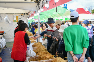 25만명 찾은 '2024 영주 풍기인삼축제' 대박!