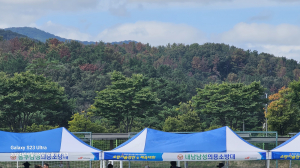 재선충병에 몸살 앓는 '경주 산림' 대안 있나