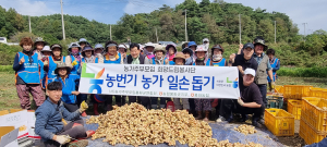 봉화농협, 가을철 농손돕기 구슬땀