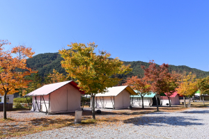 명품 숲 도시 '봉화군' 전국 캠핑족 취향저격