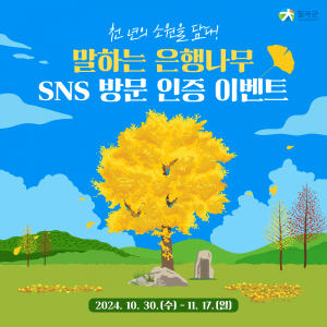 칠곡군, 말하는 은행나무에 소원 빌러 '칠곡여행' 출발