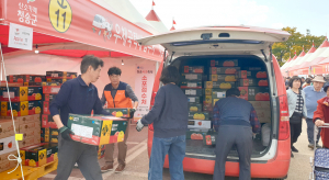 청송사과축제 우체국소포 접수물량 '폭증'