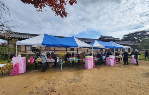 김장 나눔 행사로 안동시 하회마을 전통문화 '널리∼'