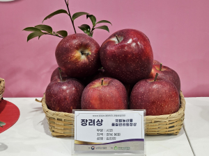 봉화 사과, 2024 대한민국 과일 산업대전 장려상 '영예'