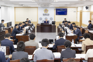 경상북도의회 행정보건복지위원회, 2025년도 소관 지방시대정책국 안전행정실 본예산 심사