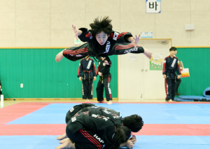 호국 도시 칠곡, 전통 무예의 정수 선보여
