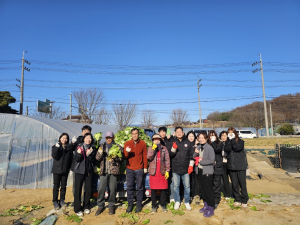 성주읍 예산리 박기수씨, 무농약 배추 전달