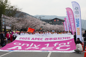 경주시, 내년 4월 경주벚꽃마라톤, 참가자 선착순 모집