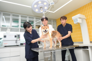 대구보건대학교, 반려동물 보건 '선도기관' 입증