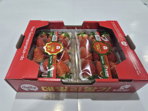 경상북도, 상주딸기 금실·스노우베리 '두바이 상륙'
